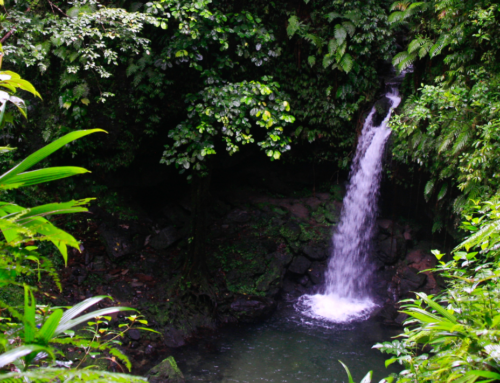 Would you dare? Boiling Lake, Morne Trois Pitons National Park, Dominica