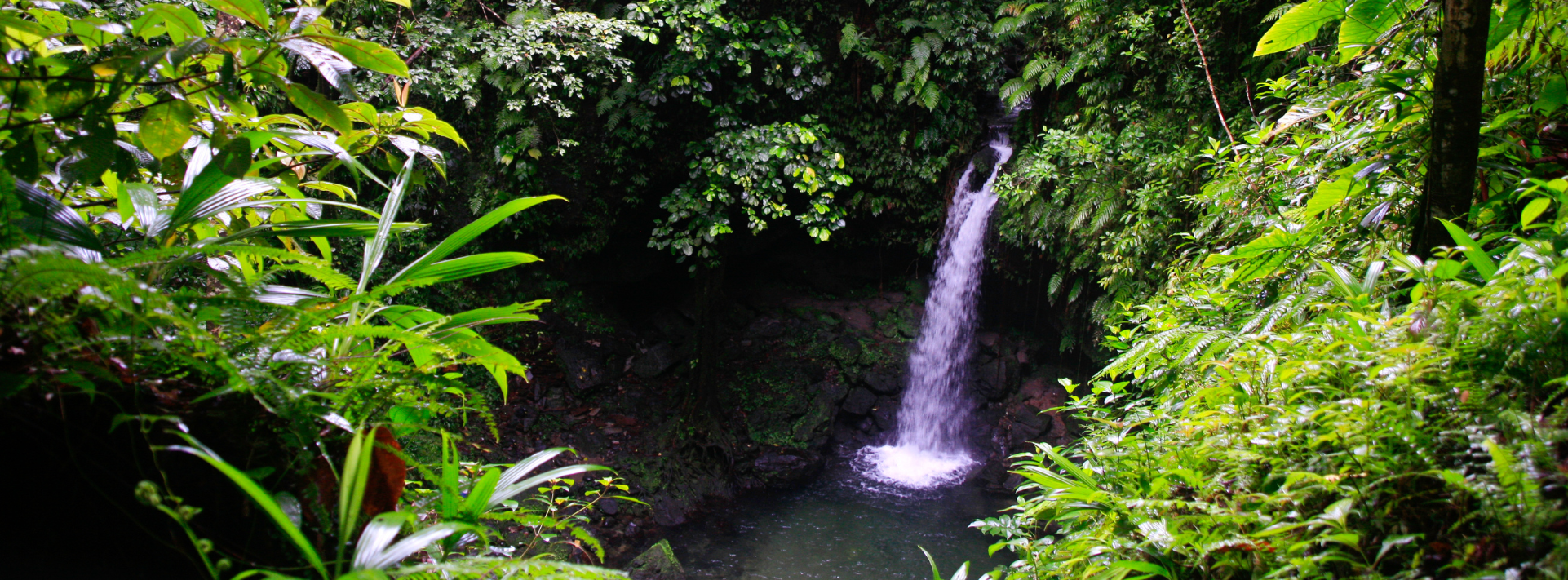 Boiling Lake in Morne Trois Pitons National Park,