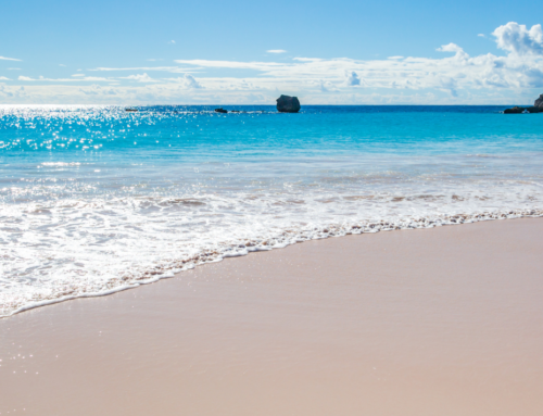 Pink Sand Beaches